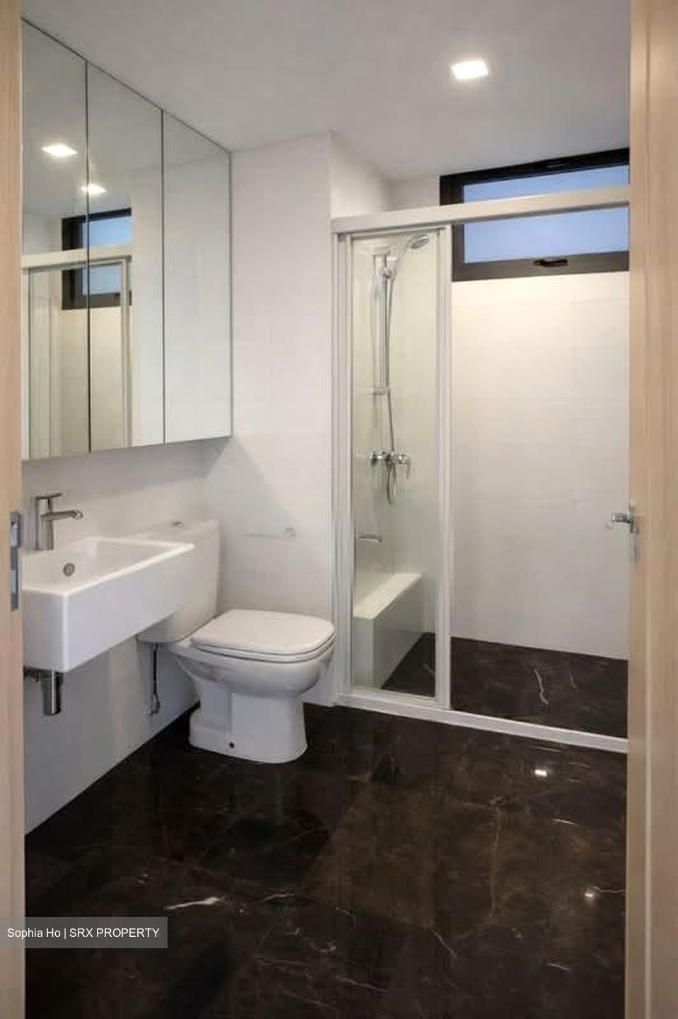 Residences Botanique (D19), Condominium #546278731